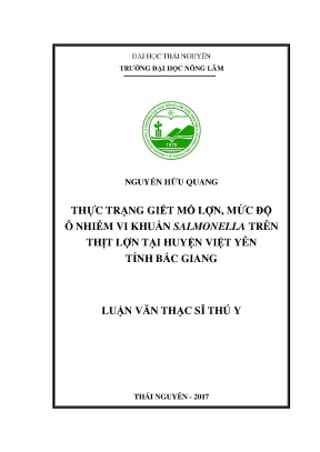 Luận văn thực trạng giết mổ lợn mức độ ô nhiễm vi khuẩn salmonella trên thịt lợn tại huyện việt yên tỉnh bắc giang