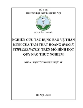 Kl hup nghiên cứu tác dụng bảo vệ thần kinh của tam thất hoang panax stipuleanatus trên mô hình đột quỵ não thực nghiệm