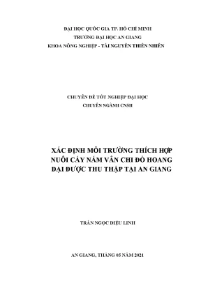 Xác định môi trường thích hợp nuôi cấy nấm vân chi đỏ hoang dại được thu thập tại an giang
