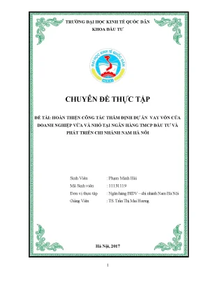 Chuyên đề thực tập giải pháp hoàn thiện công tác thẩm định dự án vay vốn của doanh nghiệp vừa và nhỏ tại ngân hàng tmcp đầu tư và phát triển chi nhánh nam hà nôi đến năm 2025