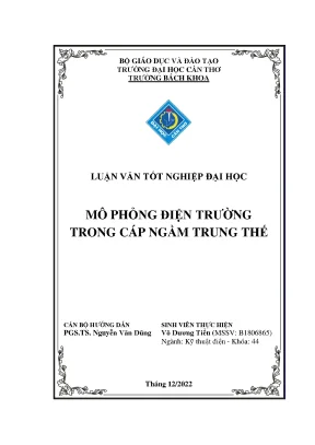 Luận văn tốt nghiệp đại học võ dương tiển 1