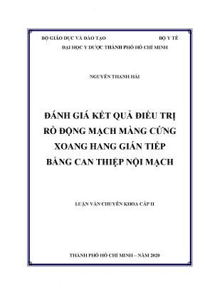 Đánh giá kết quả điều trị rò động mạch màng cứng xoang hang gián tiếp bằng can thiệp nội mạch
