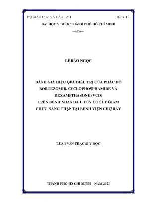 Đánh giá hiệu quả điều trị của phác đồ bortezomib cyclophosphamide và dexamethasone vcd trên bệnh nhân đa u tủy có suy giảm chức năng thận tại bệnh viện chợ rẫy
