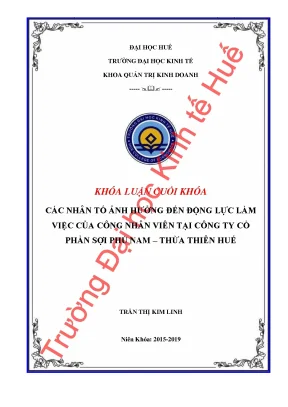 Các nhân tố ảnh hưởng đến động lực làm việc của công nhân viên tại công ty cổ phần sợi phú nam thừa thiên huế