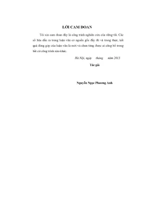Đầu tư phát triển tại công ty cổ phần stoxplus