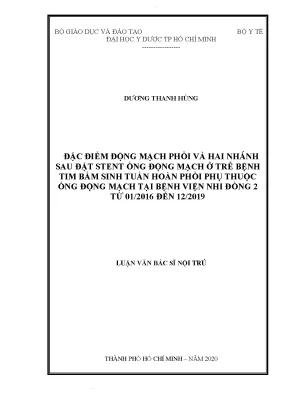 Đặc điểm động mạch phổi và hai nhánh sau đặt stent ống động mạch ở trẻ bệnh tim bẩm sinh tuần hoàn phổi phụ thuộc ống động mạch tại bệnh viện nhi đồng 2 từ 01