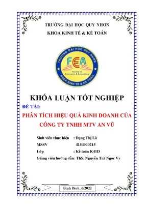Phân tích hiệu quả kinh doanh của công ty tnhh mtv an vũ