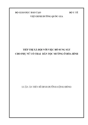 Tiếp thị xã hội với việc bổ sung sắt cho phụ nữ có thai dân tộc mường ở hoà bình