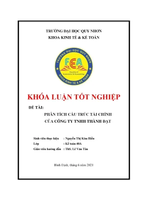 Phân tích cấu trúc tài chính của công ty tnhh thành đạt