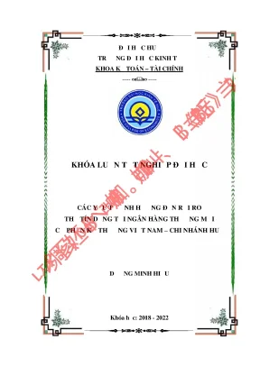 Các yếu tố ảnh hưởng đến rủi ro thẻ tín dụng tại ngân hàng tmcp kỹ thương việt nam chi nhánh huế