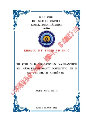 Thực trạng kế toán công nợ và phân tích khả năng thanh toán tại công ty cổ phần ngọc mạnh thừa thiên huế