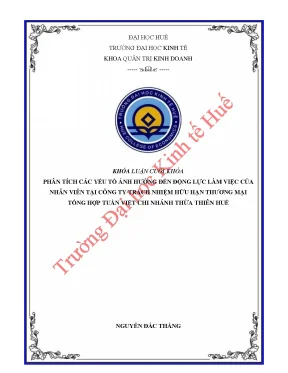 Phân tích các yếu tố ảnh hưởng đến động lực làm việc của nhân viên tại công ty trách nhiệm hữu hạn thương mại tổng hợp tuấn việt chi nhánh thừa thiên huế