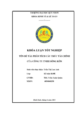 Phân tích cấu trúc tài chính của công ty tnhh sông kôn