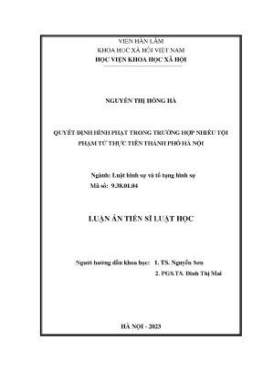 Quyết định hình phạt trong trường hợp nhiều tội phạm từ thực tiễn thành phố hà nội