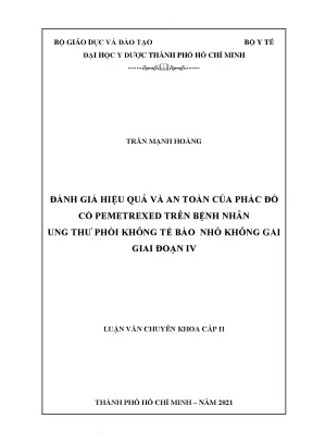 Đánh giá hiệu quả và an toàn của phác đồ có pemetrexed trên bệnh nhân ung thư phổi không tế bào nhỏ không gai giai đoạn iv