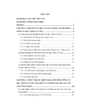 Giải pháp triển khai mô hình công ty mẹ công ty con tại công ty cổ phần đá ốp lát cao cấp vinaconex