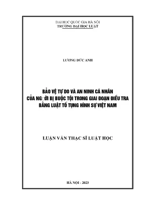 Bảo vệ tự do và an ninh cá nhân của người bị buộc tội trong giai đoạn điều tra bằng pháp luật tố tụng hình sự việt nam