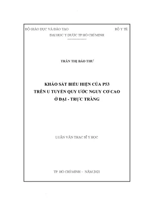 Khảo sát biểu hiện của p53 trên u tuyến quy ước nguy cơ cao ở đại trực tràng