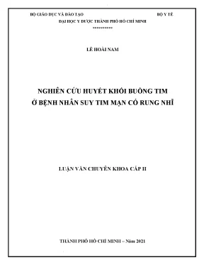 Nghiên cứu huyết khối buồng tim ở bệnh nhân suy tim mạn có rung nhĩ