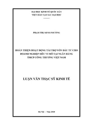 Hoàn thiện hoạt động tài trợ vốn đầu tư cho doanh nghiệp siêu vi mô tại ngân hàng tmcp công thương việt nam