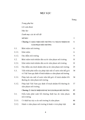 Luận văn thạc sĩ trách nhiệm bồi thường thiệt hại do xâm phạm môi trường theo quy định của bộ luật dân sự năm 2005