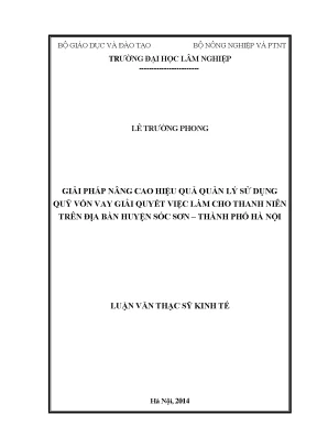 Luận văn thạc sĩ giải pháp nâng cao hiệu quả quản lý sử dụng quỹ vốn vay giải quyết việc làm cho thanh niên trên địa bàn huyện sóc sơn thành phố hà nội