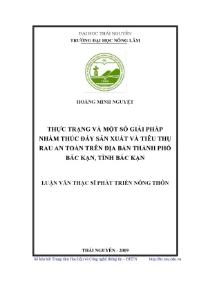 Luận văn thạc sĩ thực trạng và một số giải pháp nhằm thúc đẩy sản xuất và tiêu thụ rau an toàn trên địa bàn thành phố bắc kạn tỉnh bắc kạn