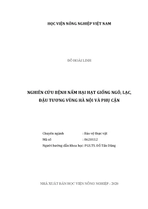 Luận văn thạc sĩ nghiên cứu bệnh nấm hại hạt giống ngô lạc đậu tương vùng hà nội và phụ cận