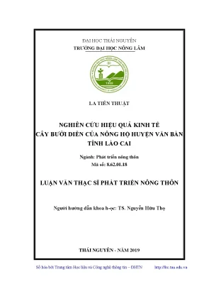 Luận văn thạc sĩ nghiên cứu hiệu quả kinh tế cây bưởi diễn của nông hộ huyện văn bàn tỉnh lào cai