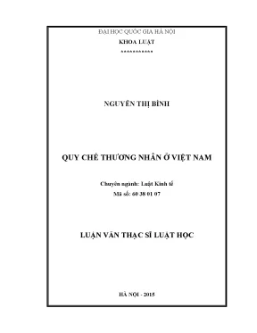 Luận văn thạc sĩ quy chế thương nhân ở việt nam