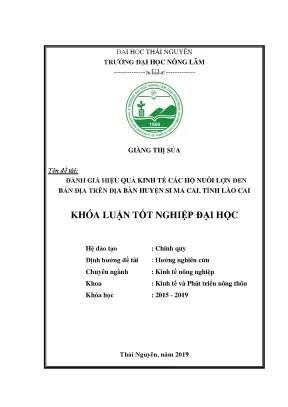 Luận văn thạc sĩ đánh giá hiệu quả kinh tế các hộ nuôi lợn đen bản địa trên địa bàn huyện si ma cai tỉnh lào cai