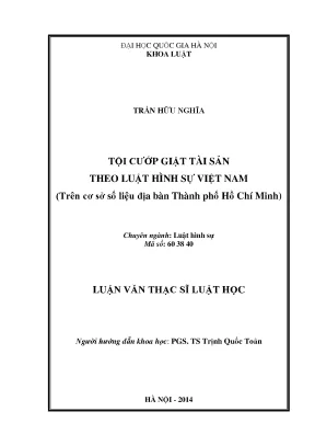 Luận văn thạc sĩ tội cướp giật tài sản theo luật hình sự việt nam trên cơ sở số liệu địa bàn thành phố hồ chí minh luận án ts luật 60 38 40
