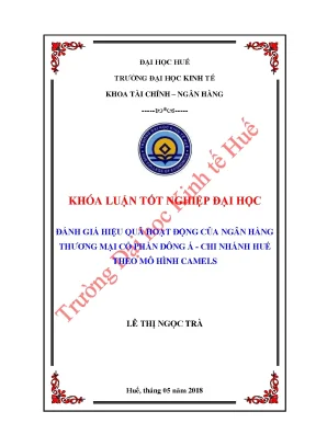 Đánh giá hiệu quả hoạt động của ngân hàng thương mại cổ phần đông á chi nhánh huế theo mô hình camels