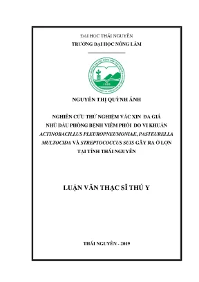 Luận văn thạc sĩ nghiên cứu thử nghiệm vắc xin đa giá nhũ dầu phòng bệnh viêm phổi do vi khuẩn actinobacillus pleuropneumoniae pasteurella multocida và streptococcus suis gây ra ở lợn tại tỉnh thái nguyên