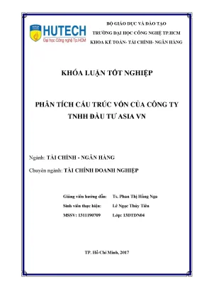 Luận văn thạc sĩ phân tích cấu trúc vốn của công ty tnhh đầu tư asia vn