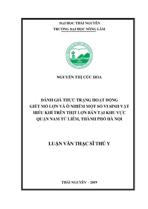 Luận văn thạc sĩ đánh giá thực trạng hoạt động giết mổ lợn và ô nhiễm một số vi sinh vật hiếu khí trên thịt lợn bán tại khu vực quận nam từ liêm thành phố hà nội