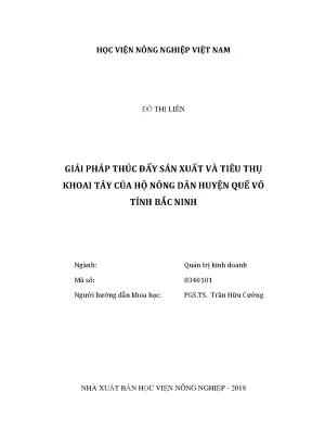 Luận văn thạc sĩ giải pháp thúc đẩy sản xuất và tiêu thụ khoai tây của hộ nông dân huyện quế võ tỉnh bắc ninh