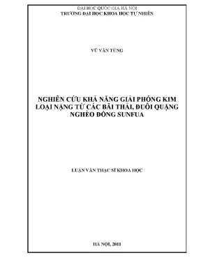 Luận văn thạc sĩ nghiên cứu khả năng giải phóng kim loại nặng từ các bãi thải đuôi quặng nghèo đồng sunfua 60 44 41