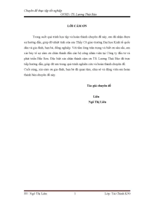 Phân tích tình hình tài chính của công ty đầu tư và phát triển bắc sơn1