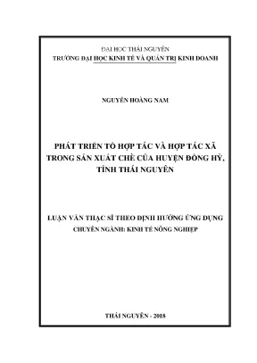 Luận văn thạc sĩ phát triển tổ hợp tác và hợp tác xã trong sản xuất chè của huyện đồng hỷ tỉnh thái nguyên