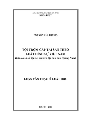 Luận văn thạc sĩ tội trộm cắp tài sản theo luật hình sự việt nam trên cơ sở số liệu xét xử trên địa bàn tỉnh quảng nam