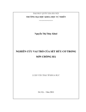 Luận văn thạc sĩ nghiên cứu vai trò của sét hữu cơ trong sơn chống hà