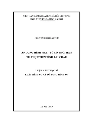 Luận văn thạc sĩ áp dụng hình phạt tù có thời hạn từ thực tiễn tỉnh lai châu