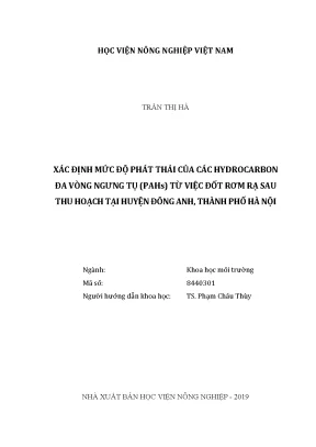 Luận văn thạc sĩ xác định mức độ phát thải của các hydrocarbon đa vòng ngưng tụ pahs từ việc đốt rơm rạ sau thu hoạch tại huyện đông anh thành phố hà nội