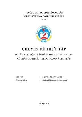 Hoạt động bán hàng online của công ty cổ phần cánh diều thực trạngvà giải pháp