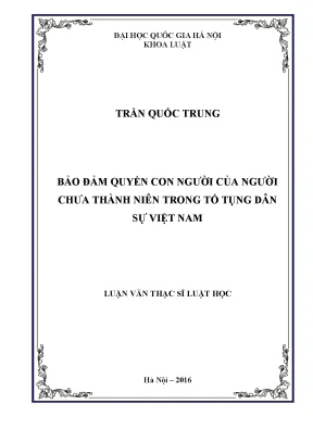 Luận văn thạc sĩ bảo đảm quyền con người của người chưa thành niên trong tố tụng dân sự việt nam