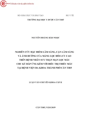 Nghiên cứu đặc điểm lâm sàng cận lâm sàng và ảnh hưởng của màng lọc đối lưu cao trên bệnh nhân suy thận mạn lọc máu chu kỳ đáp ứng kém với điều trị thiếu máu tại bệnh viện đa khoa thàn