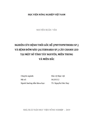 Luận văn thạc sĩ nghiên cứu bệnh thối gốc rễ phytophthora sp và bệnh đốm nâu alternaria sp cây chanh leo tại một số tỉnh tây nguyên miền trung và miền bắc