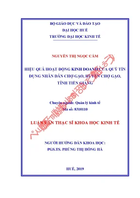 Luận văn thạc sĩ hiệu quả hoạt động kinh doanh của quỹ tín dụng nhân dân chợ gạo huyện chợ gạo tỉnh tiền giang