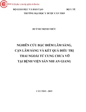 Nghiên cứu đặc điểm lâm sàng cận lâm sàng và kết quả điều trị thai ngoài tử cung chưa vỡ tại bệnh viện sản nhi an giang